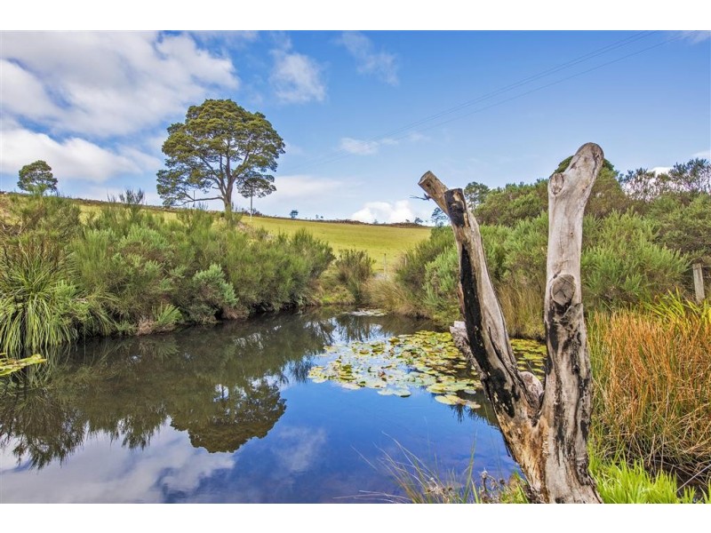 3019 Castra Road, Nietta TAS 7315