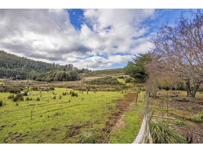 3019 Castra Road, Nietta TAS 7315