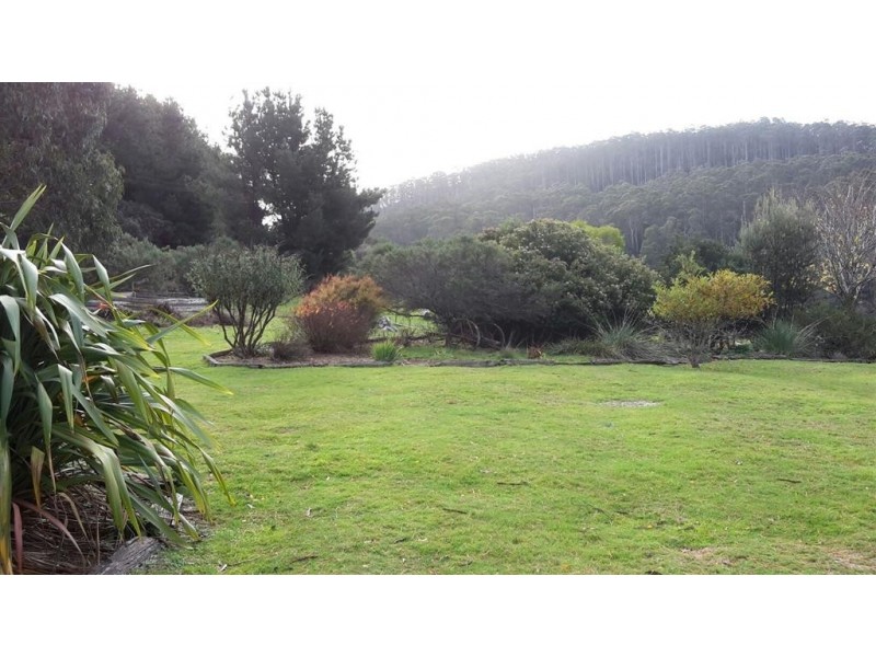 3019 Castra Road, Nietta TAS 7315