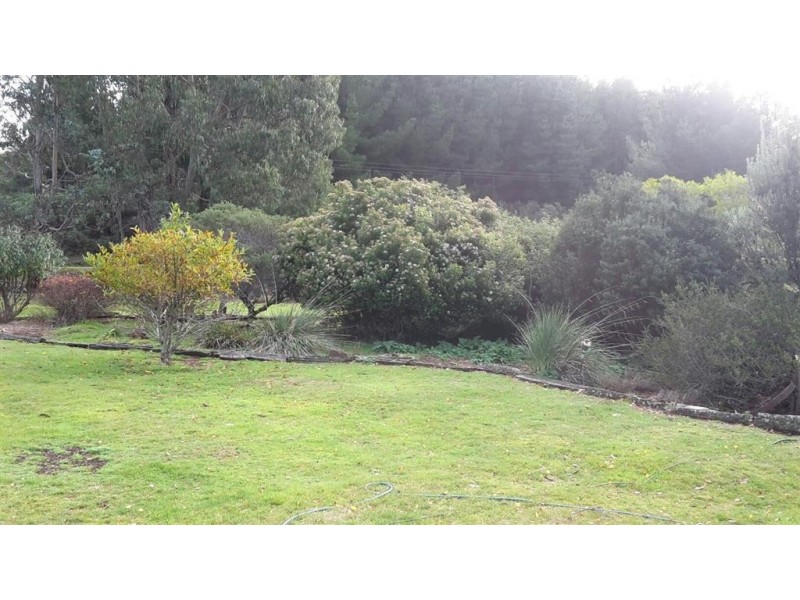3019 Castra Road, Nietta TAS 7315