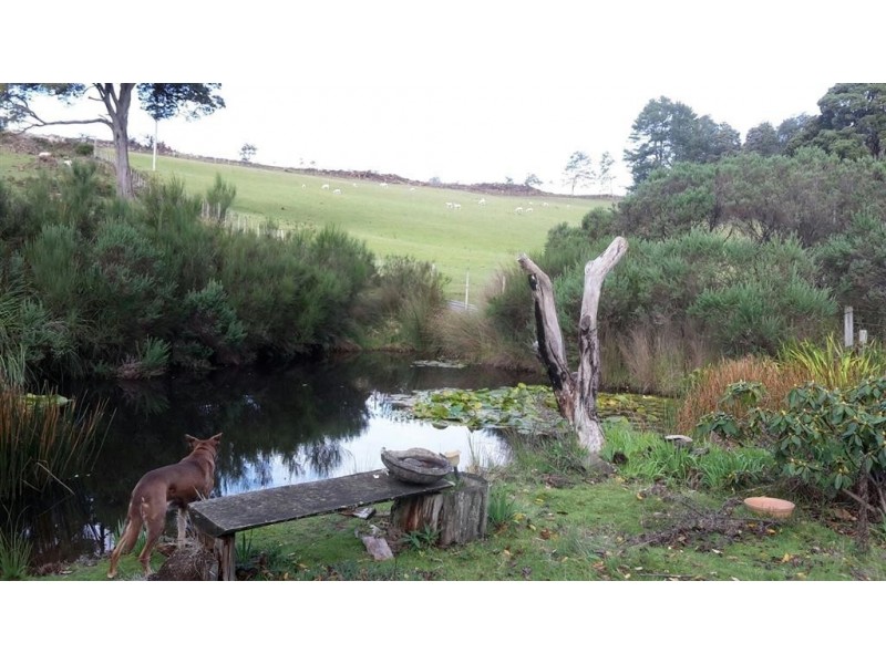 3019 Castra Road, Nietta TAS 7315