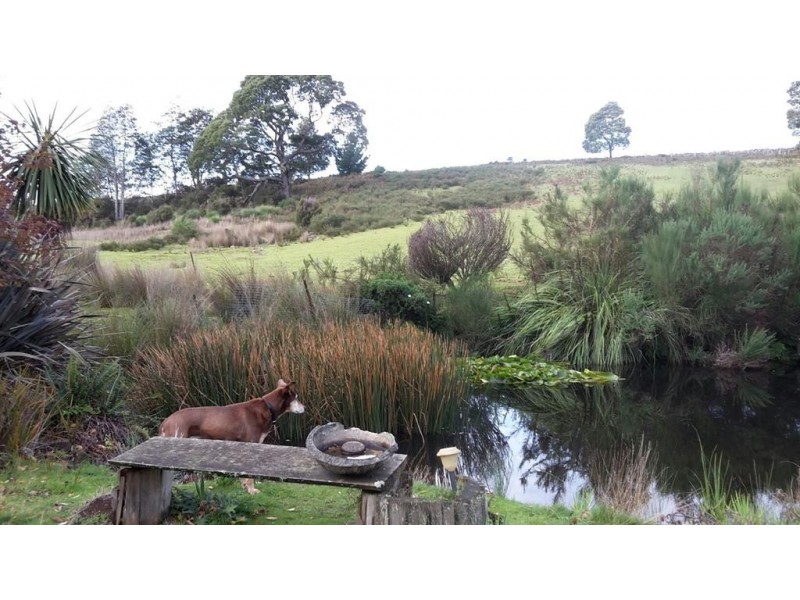 3019 Castra Road, Nietta TAS 7315