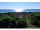 Lot 4 Shorehaven Drive, Turners Beach TAS 7315