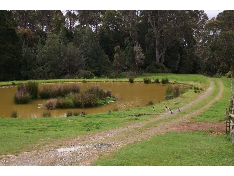 51 Blackwells Road, Oonah TAS 7325