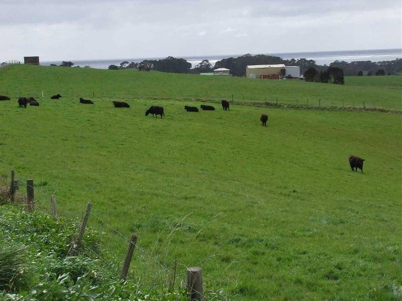 1546 Murchison Highway, Yolla TAS 7325