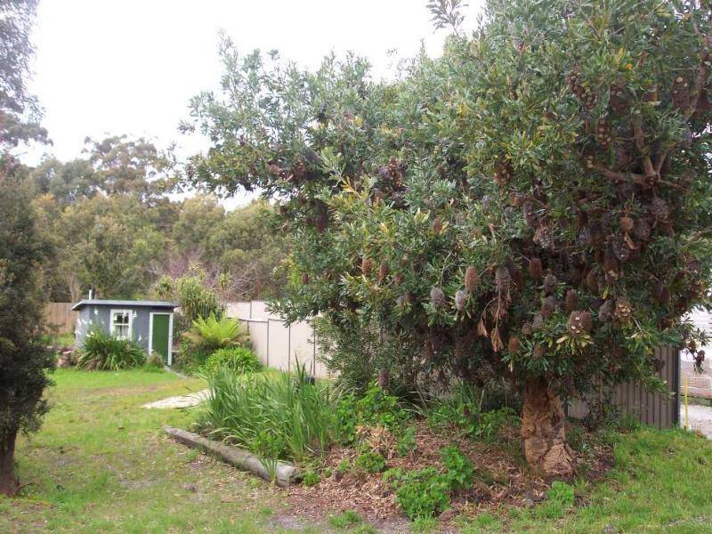 29 Irbys Circus, Sisters Beach TAS 7321