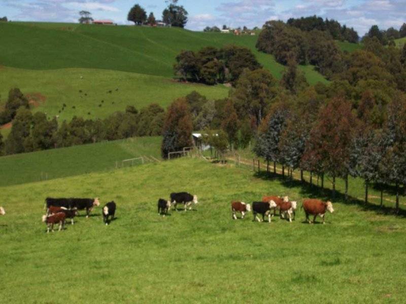 . Myalla Road, Myalla TAS 7325