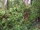 . Preolenna Road, Moorleah TAS 7325
