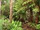 . Preolenna Road, Moorleah TAS 7325