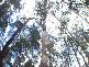 . Preolenna Road, Moorleah TAS 7325