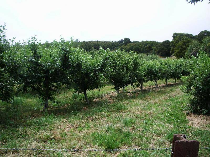 2360 Preolenna Road, Preolenna, Wynyard TAS 7325