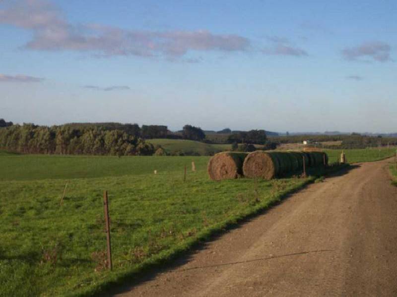 381 Lowries Road, Oldina TAS 7325