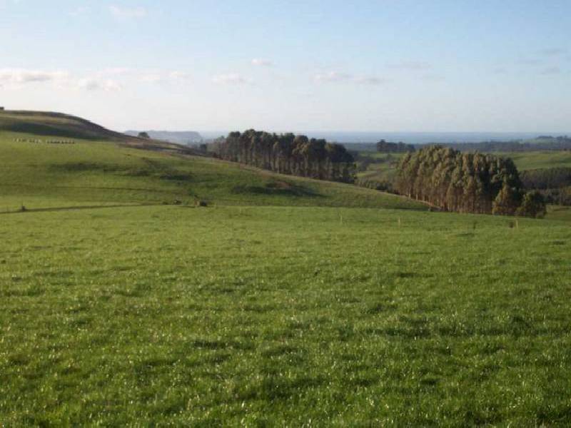 381 Lowries Road, Oldina TAS 7325