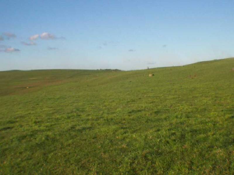 381 Lowries Road, Oldina TAS 7325