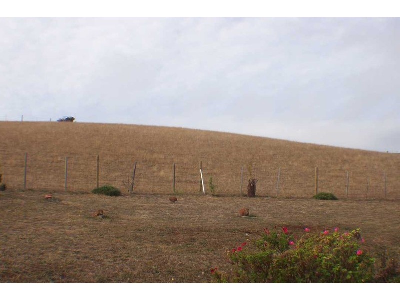 16998 Bass Highway, Flowerdale TAS 7325