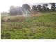 763 Preolenna Road, Moorleah TAS 7325