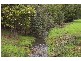 159 Nunns Road, Elliott TAS 7325