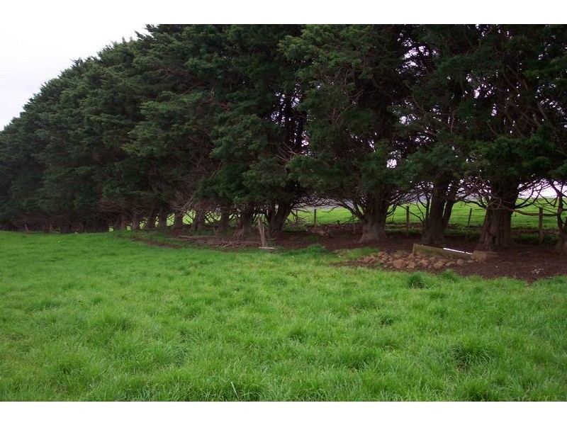 159 Nunns Road, Elliott TAS 7325