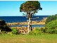 305 Port Road, Boat Harbour TAS 7321