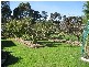 184 Reservoir Drive, Wynyard TAS 7325
