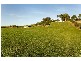 77 Camerons Road, Moorleah, Wynyard TAS 7325