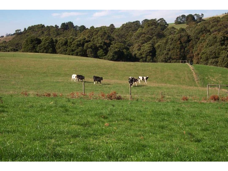 . Myalla Road, Myalla, Wynyard TAS 7325