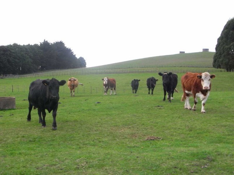 . Calder Road, Wynyard TAS 7325