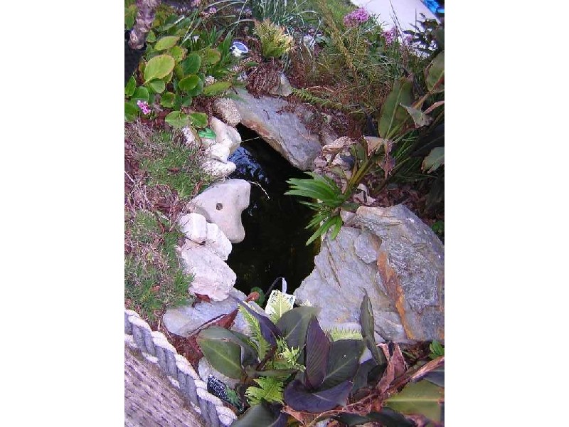 74 Irby Boulevard, Sisters Beach TAS 7321