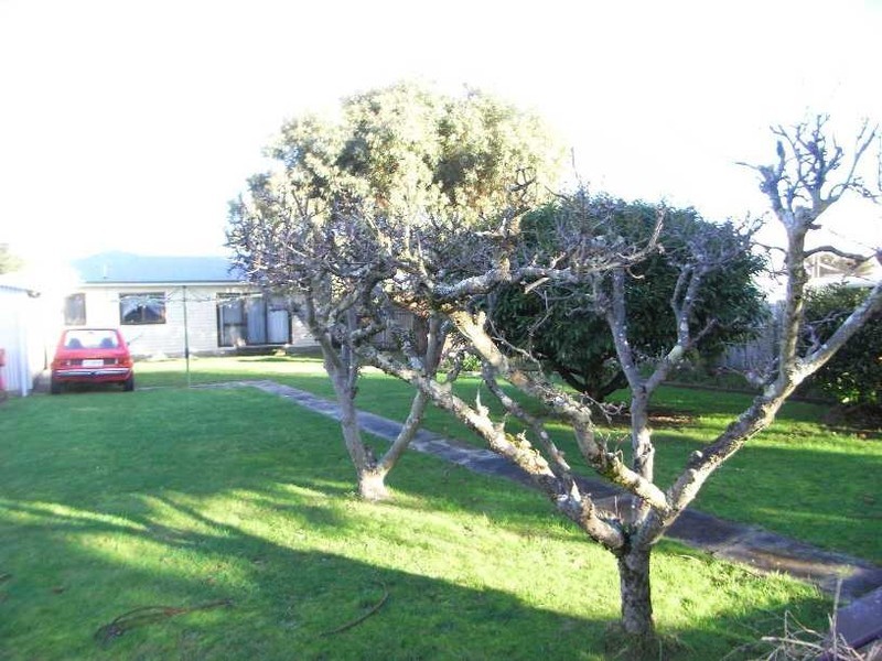 21 Quiggin Street, Wynyard TAS 7325