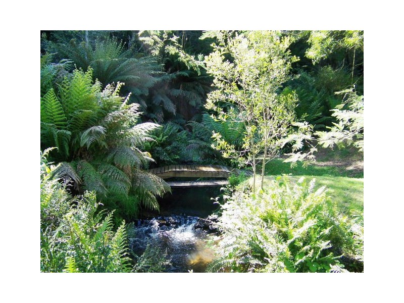 436 Back Cam Road, Somerset TAS 7322