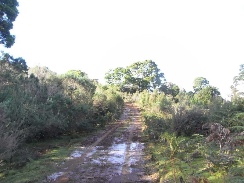 . Kimberleys Hill Road, Lapoinya TAS 7325