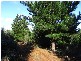 . Kimberleys Hill Road, Lapoinya TAS 7325