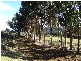 . Kimberleys Hill Road, Lapoinya TAS 7325
