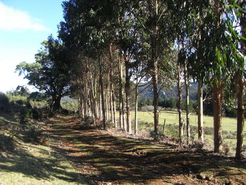 . Kimberleys Hill Road, Lapoinya TAS 7325