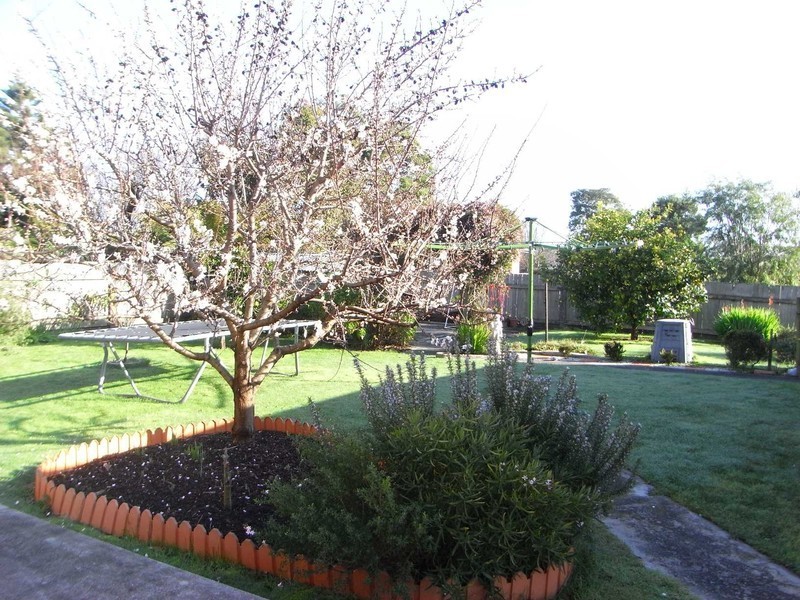 17a Quiggin Street, Wynyard TAS 7325