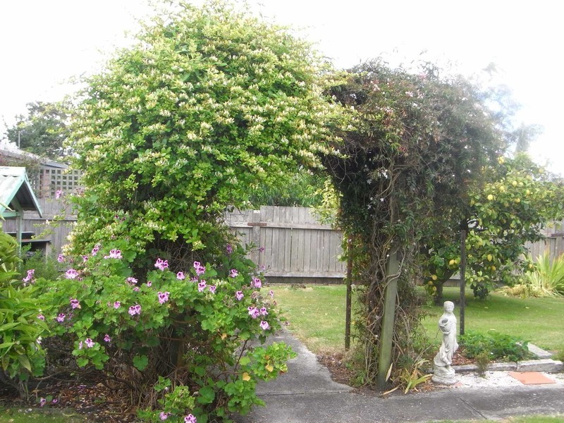 17a Quiggin Street, Wynyard TAS 7325