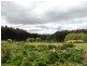 18 Stewarts Road, Yolla TAS 7325