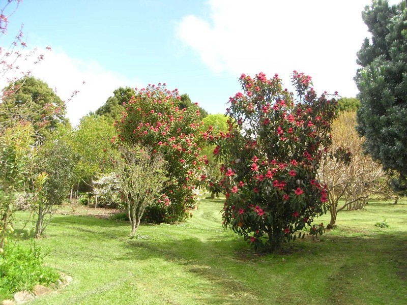 18 Stewarts Road, Yolla TAS 7325