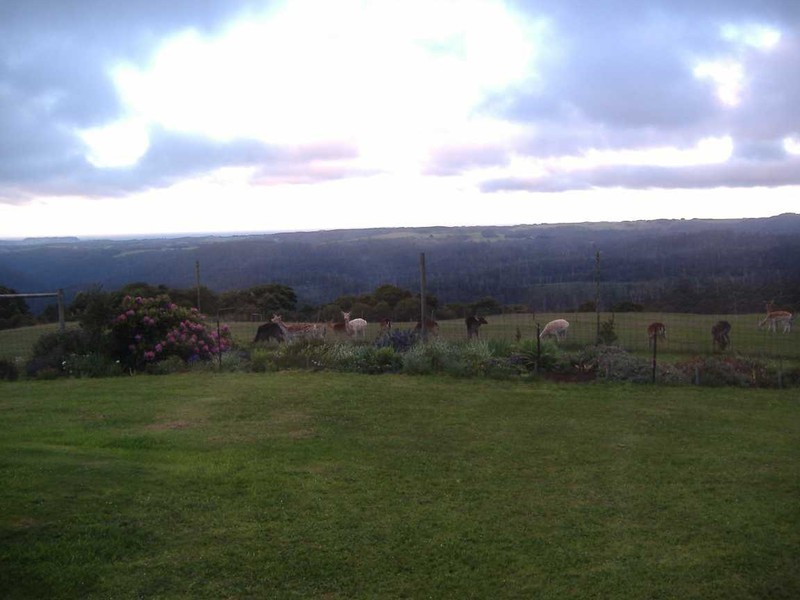 340 Pinners Road, Yolla, Wynyard TAS 7325