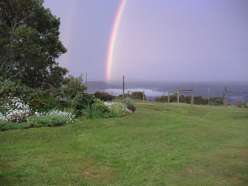 340 Pinners Road, Yolla, Wynyard TAS 7325