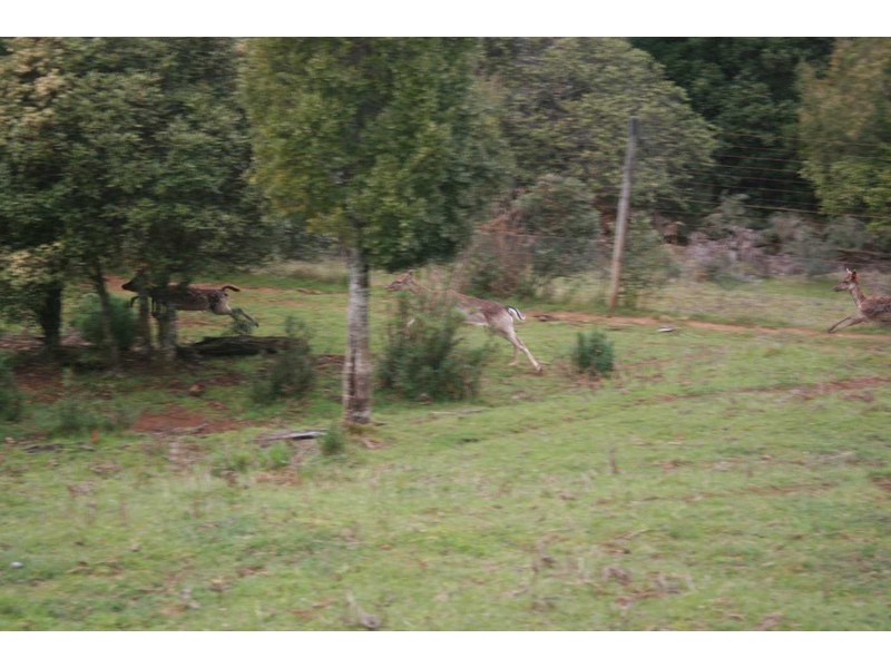 340 Pinners Road, Yolla, Wynyard TAS 7325