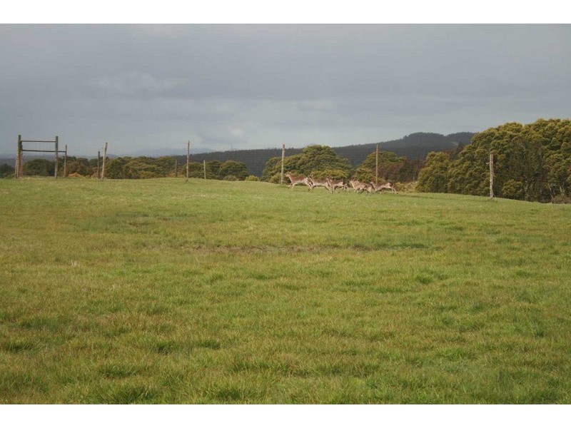 340 Pinners Road, Yolla, Wynyard TAS 7325