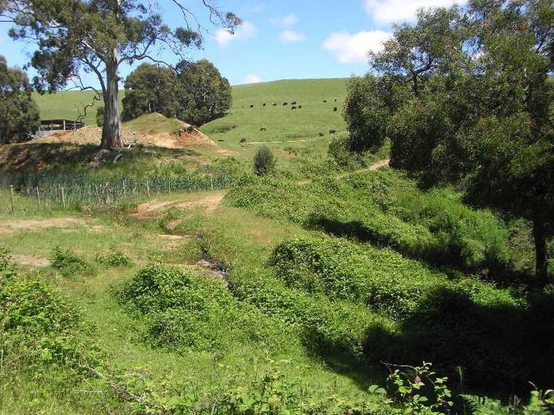 436 Mount Hicks Road, Wynyard TAS 7325