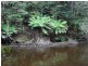 1538 Preolenna Road, Moorleah TAS 7325