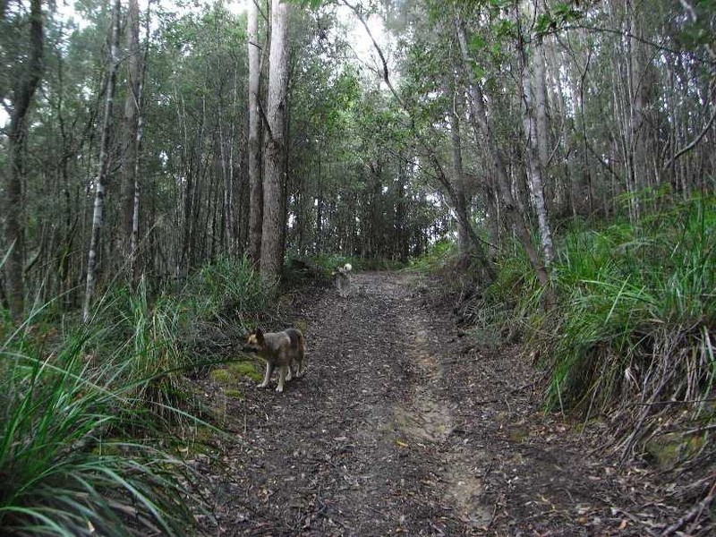 1538 Preolenna Road, Moorleah TAS 7325