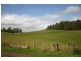 1538 Preolenna Road, Moorleah TAS 7325