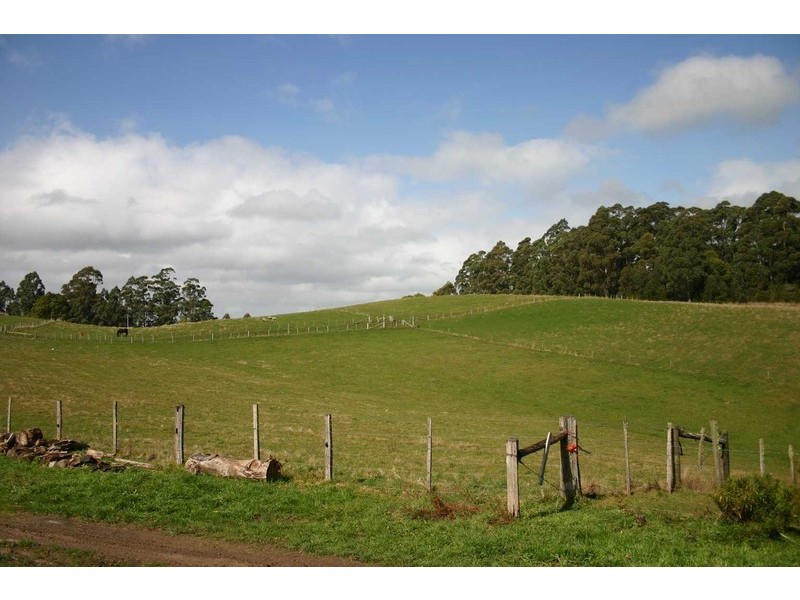 1538 Preolenna Road, Moorleah TAS 7325