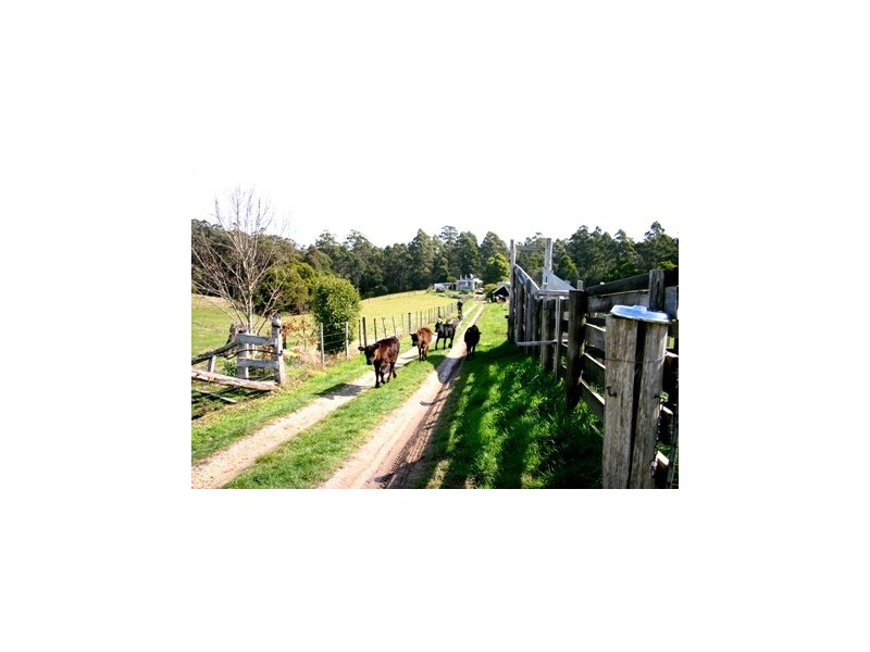 1538 Preolenna Road, Moorleah TAS 7325
