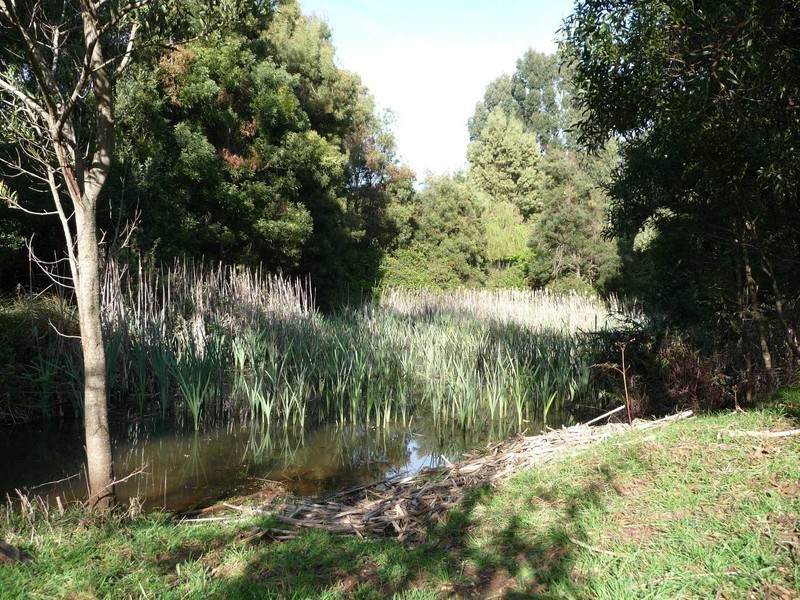 99 Village lane, Somerset TAS 7322