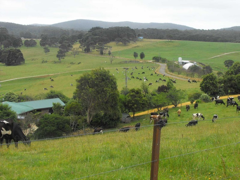 1169 Lapoinya Road, Milabena, Wynyard TAS 7325